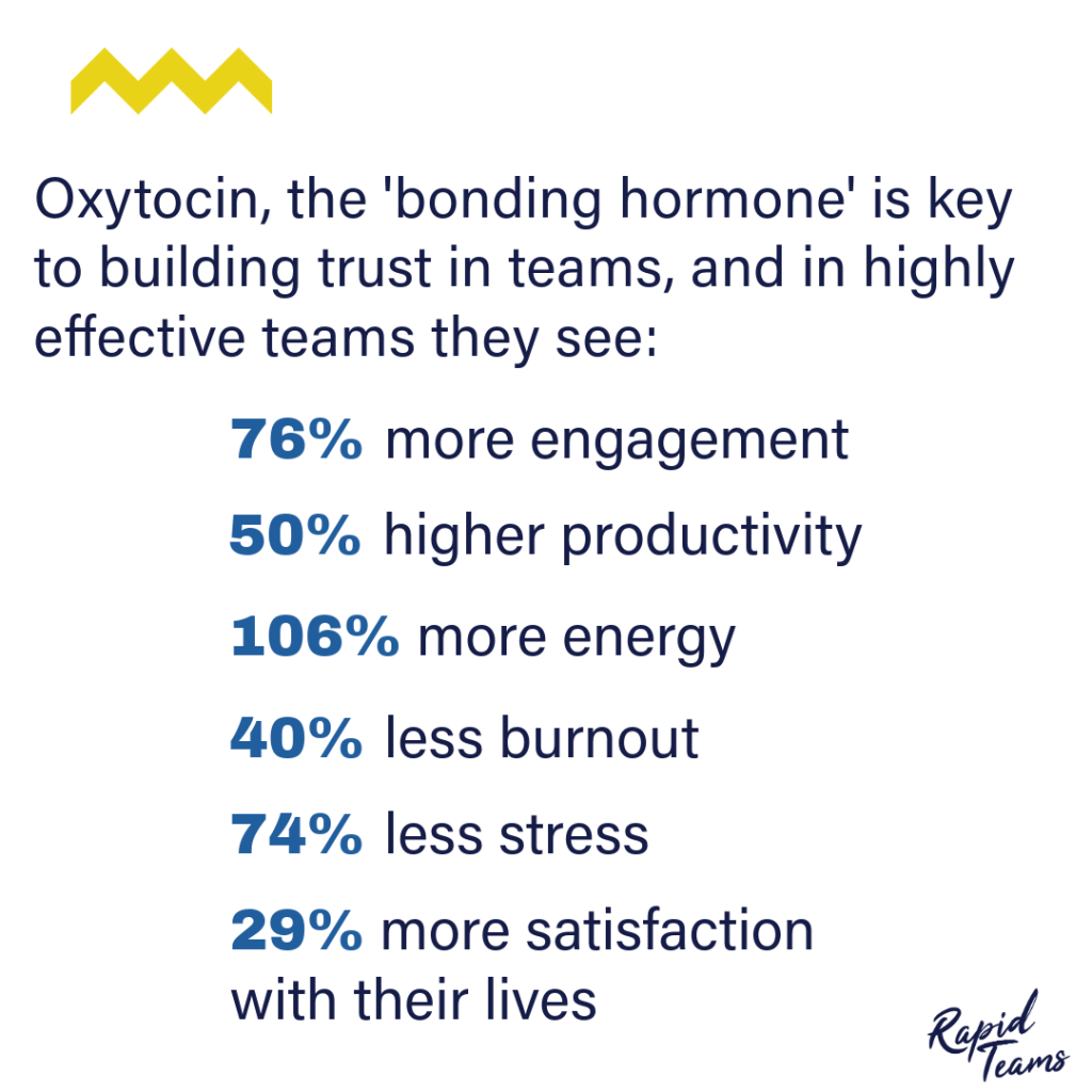 The effects of oxytocin on team building